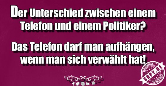 Unterschied zwischen Politiker