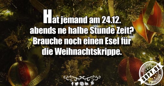 Weihnachtskrippe braucht dringend noch einen Esel