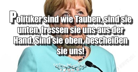Taubenvergleich bissig: Unten fressen, oben bescheißen