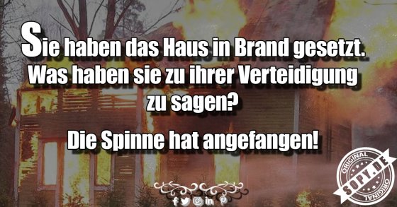 Ausrede beim Hausbrand: Die Spinne hat angefangen