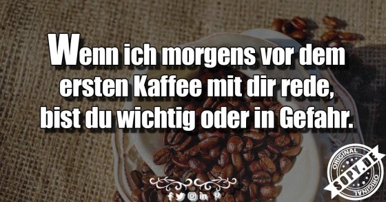 Morgenkategorisierung klar: Wichtig oder in Gefahr