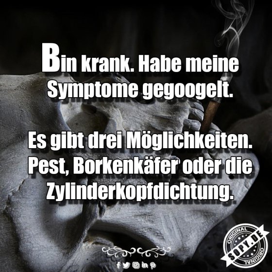 Symptome gegoogelt: Pest oder Zylinderkopfdichtung