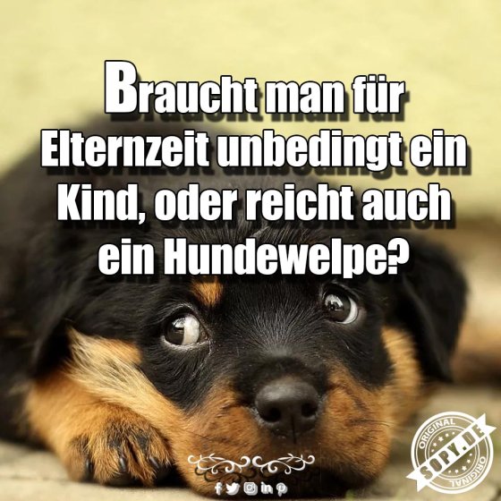 Elternzeit-Frage: Reicht auch schon ein Hundewelpe?