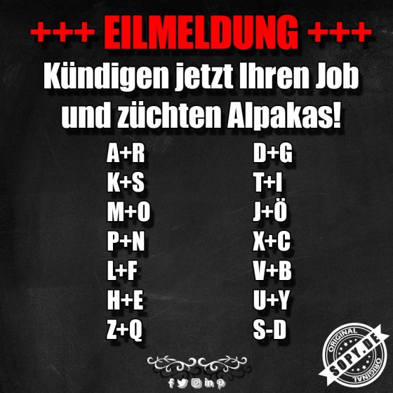 Jobkündigung für Alpakas: Der ultimative Ausstieg