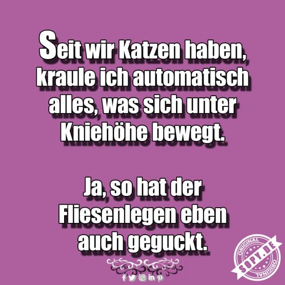 Seit wir Katzen
