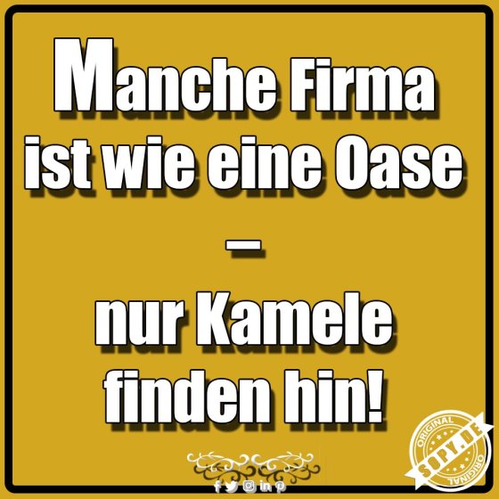 Firmenvergleich bissig: Oase nur für Kamele erreichbar