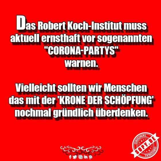 Corona-Partys trotz Warnung: Krone der Schöpfung wackelt