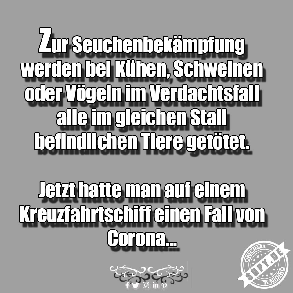 Lustiges Spruchbild zu Corona auf Kreuzfahrtschiff: Corona auf Kreuzfahrtschiff: Jeden Tag neue Spruchbilder zum Teilen! Inspirierende Worte für die Seele in Zeiten von Corona…