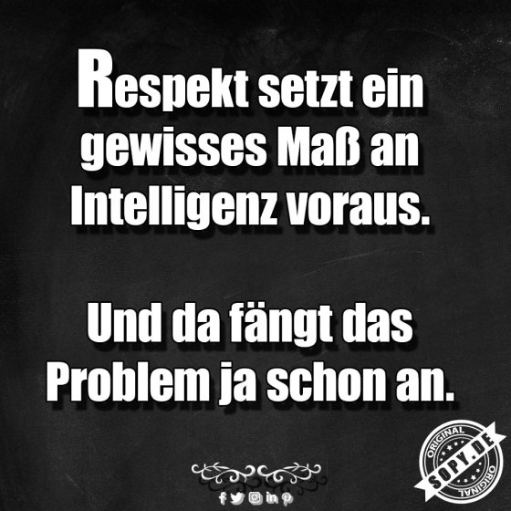Respektparadox bissig: Intelligenz als Grundvoraussetzung