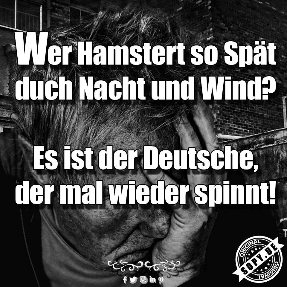 Lustiges Spruchbild zu Hamster Deutsche: Hamster Deutsche: Jeden Tag neue Spruchbilder zum teilen. Hamster Deutsche Sprüche für die Seele, teile diesen Beitrag von Sopy. Wer…