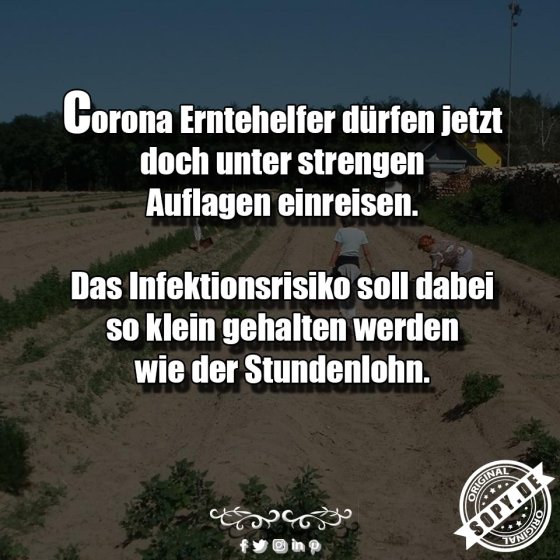 Corona Erntehelfer