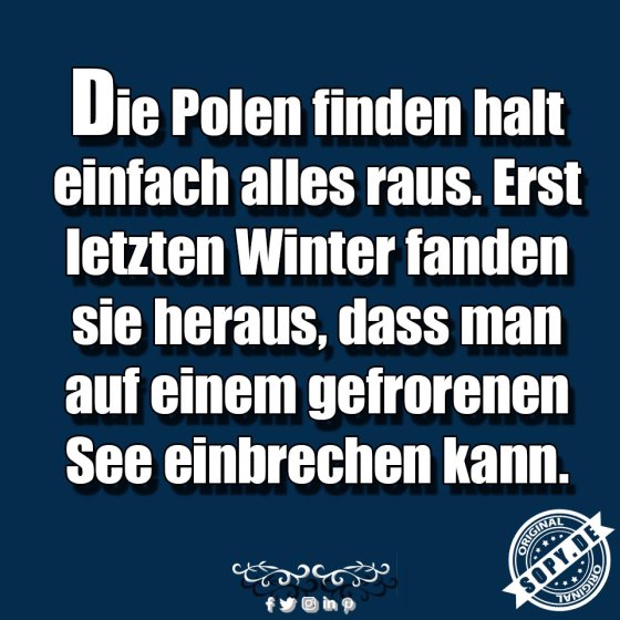 Polen finden alles