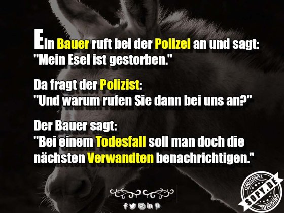 bei der Polizei