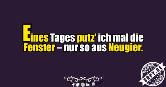 Fenster putzen aus Neugier