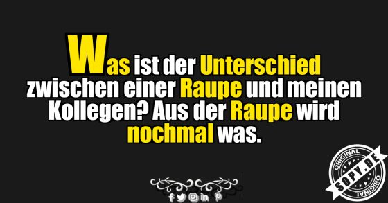 Raupe mit Zukunft