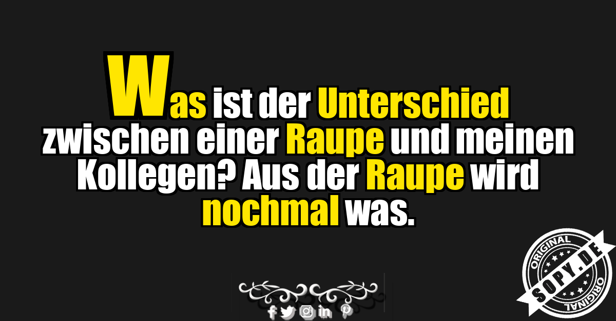 Lustiger Spruch über Raupe und Kollegen