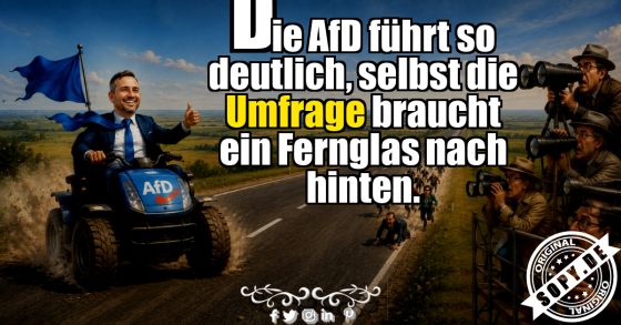 AfD-Umfragen in Sachsen-Anhalt: Konkurrenz außer Sicht