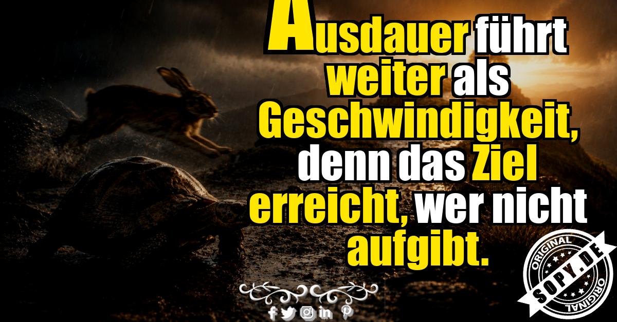 Schildkröte zeigt Ausdauer auf regnerischem Weg zum fernen Ziel