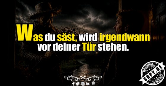Die Ernte kommt zurück
