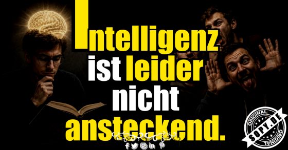 Intelligenz bleibt selten ansteckend, Humor dagegen schon